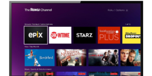 Types of Roku Subscriptions