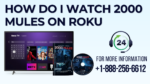 2000 Mules on Roku